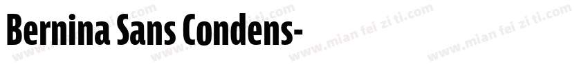 Bernina Sans Condens字体转换